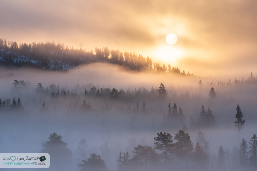 Lichtstimmung am Morgen