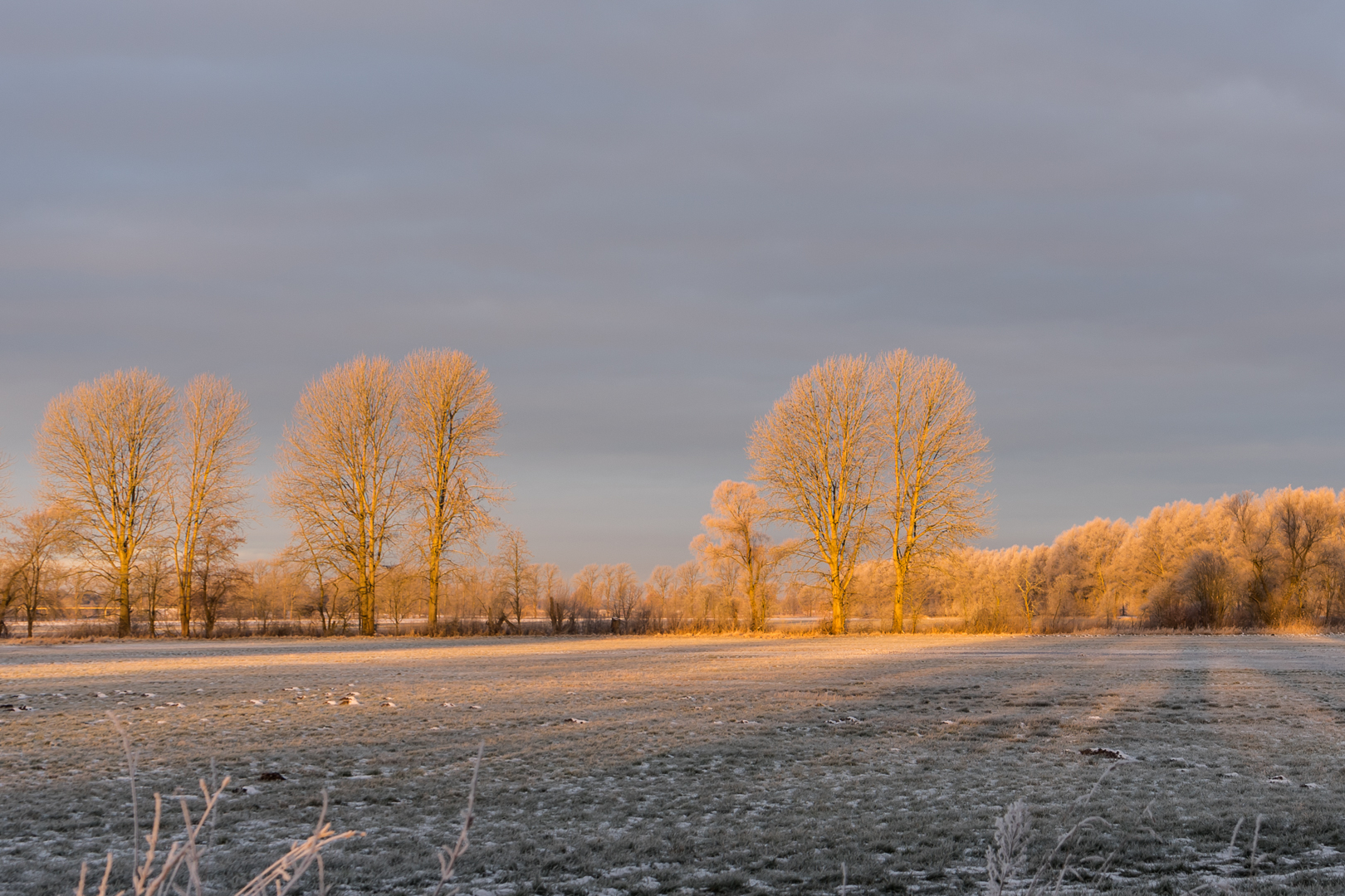 Lichtstimmung am Morgen