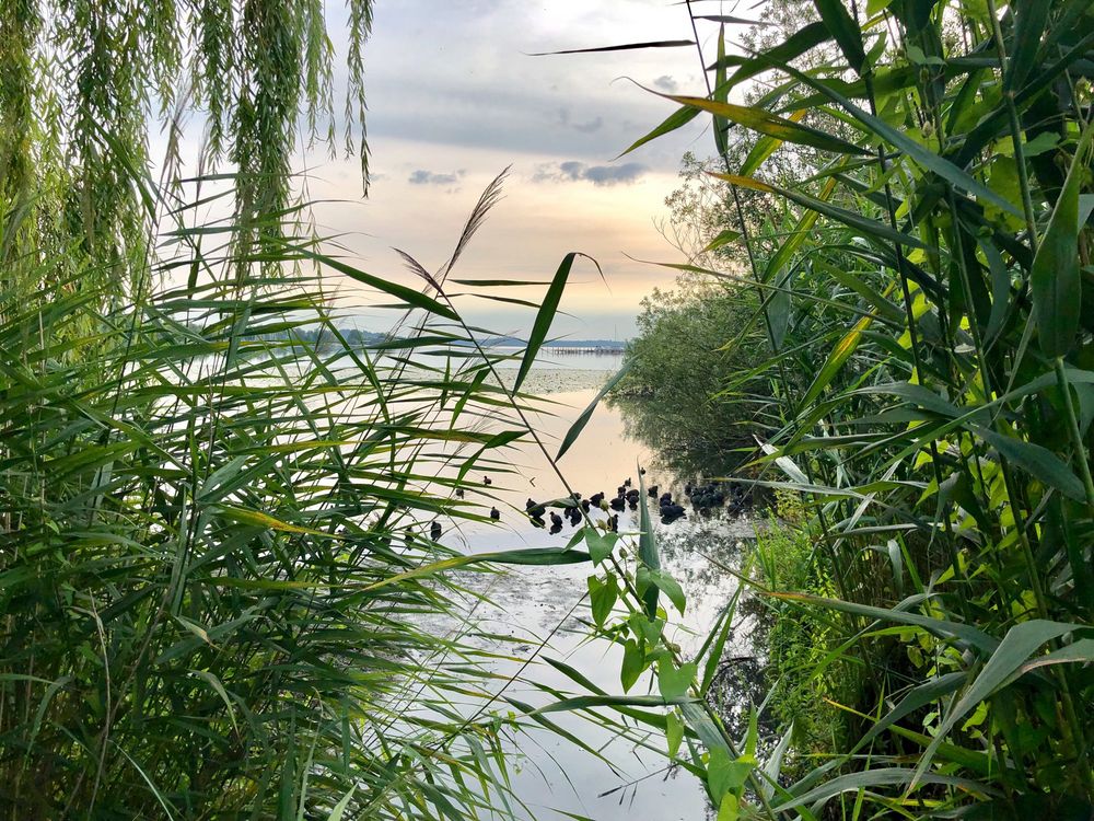 Lichtstimmung am Schweriner See