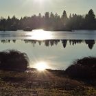 Lichtstimmung am Weitmannsee