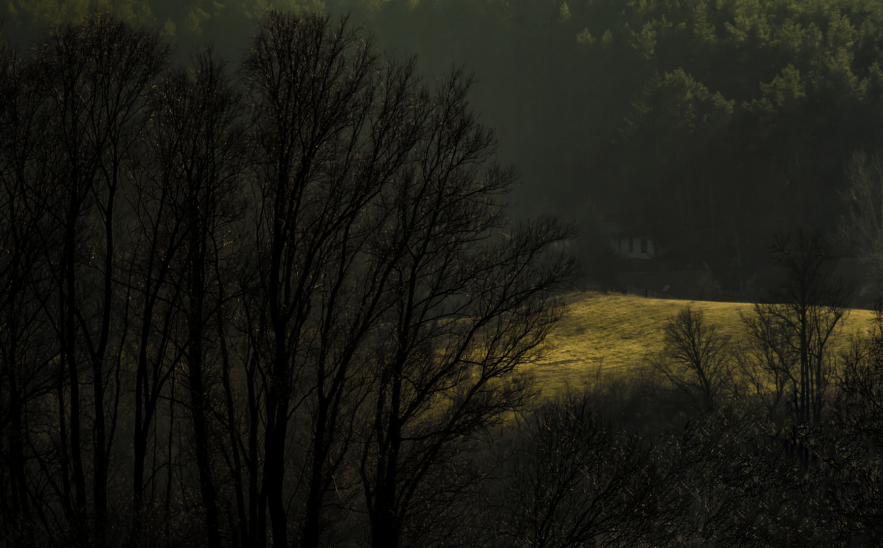 Lichtstimmung an der Elbe