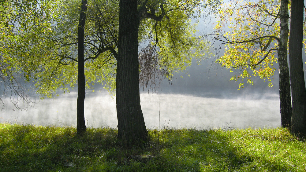 Lichtstimmung an der Isar