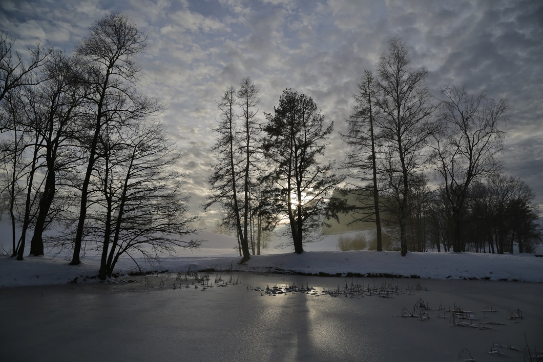 Lichtstimmung  an einem Winterabend 