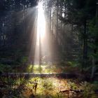 Lichtstimmung auf der Wandertour Vogteiturm