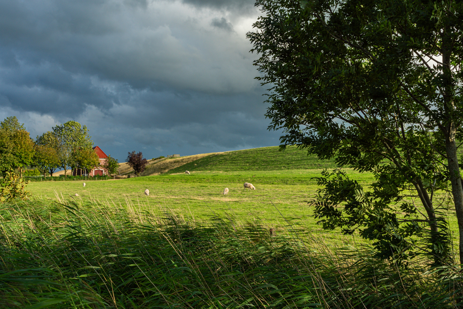 Lichtstimmung