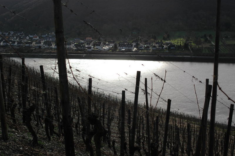 Lichtstimmung bei Boppard