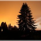 Lichtstimmung bei Gewitter