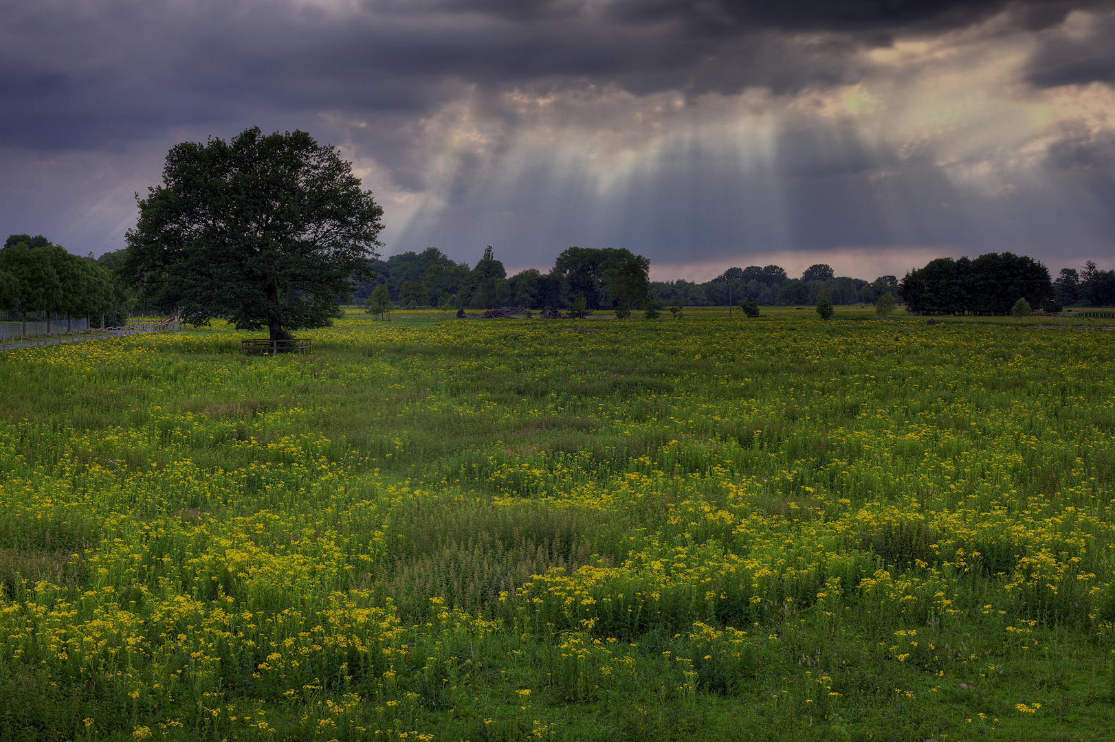 LICHTSTIMMUNG