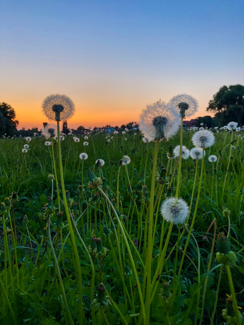 Lichtstimmung