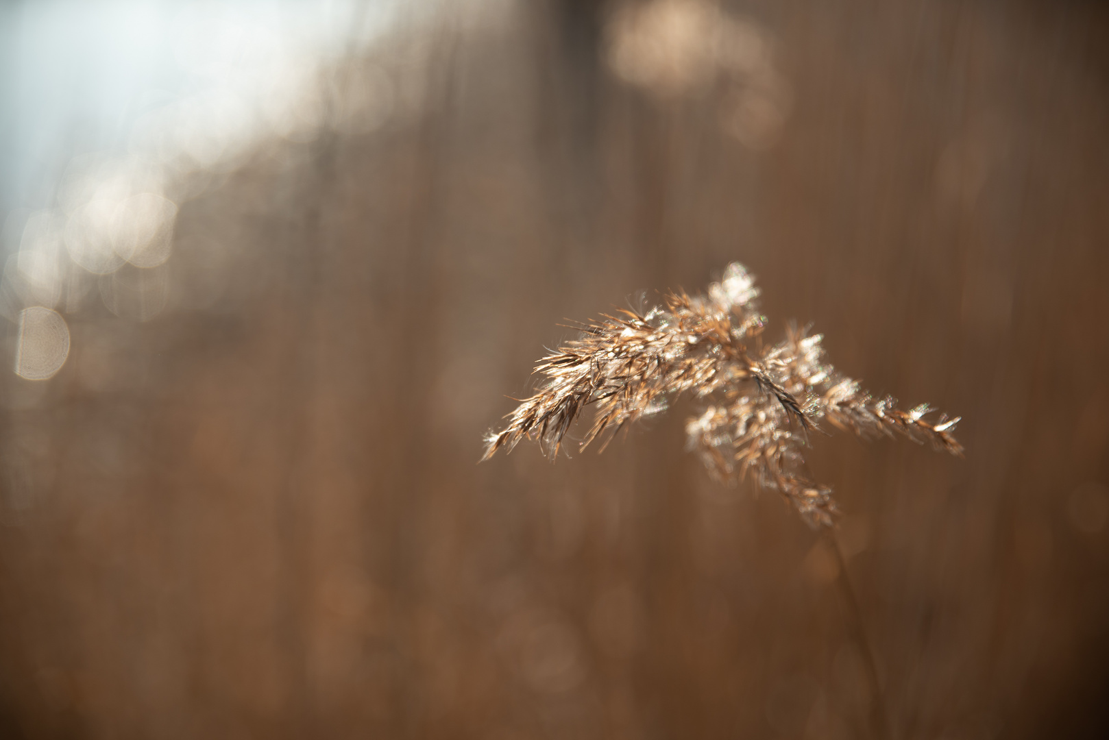 Lichtstimmung