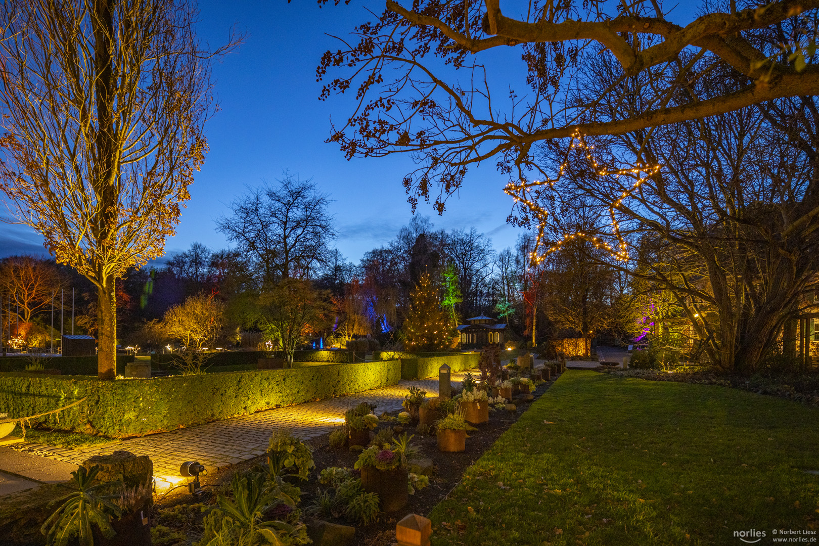 Lichtstimmung im Botanischen Garten