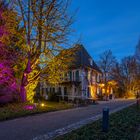 Lichtstimmung im Botanischen Garten