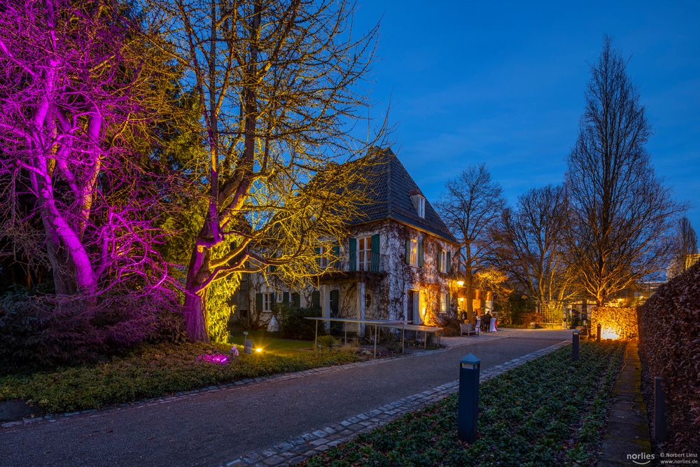 Lichtstimmung im Botanischen Garten Foto & Bild
