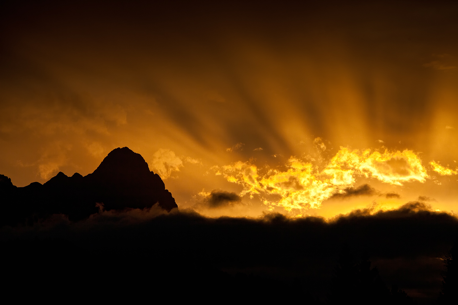 Lichtstimmung im Herbst