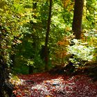 Lichtstimmung im Herbst