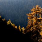 Lichtstimmung im Nationalpark Nockberge in Kärnten