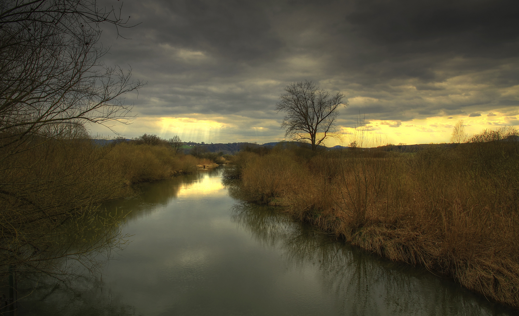 Lichtstimmung im Naturschutzgebiet Moos am Bodensee