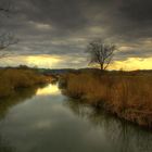 Lichtstimmung im Naturschutzgebiet Moos am Bodensee