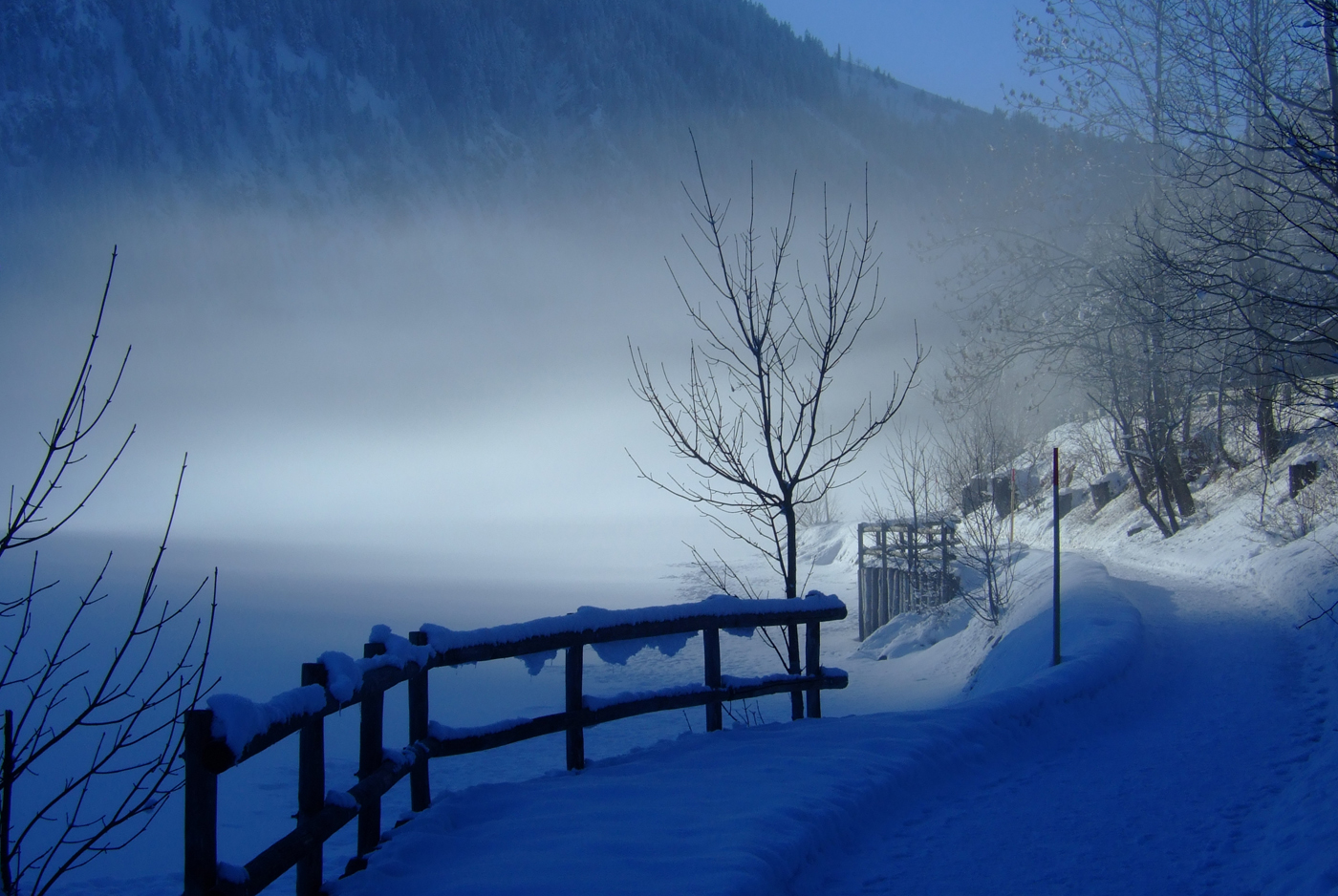 Lichtstimmung im Nebel am Bergsee