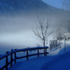 Lichtstimmung im Nebel am Bergsee