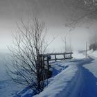 Lichtstimmung im Nebel - Teil 3