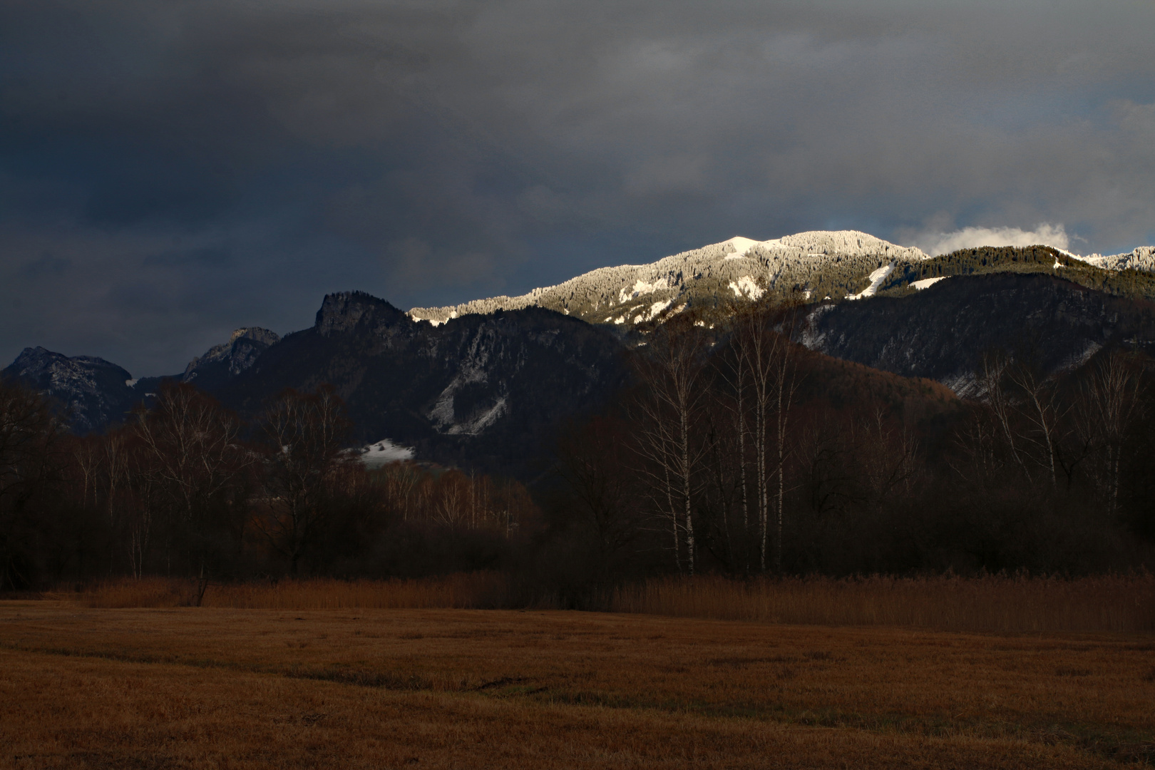 Lichtstimmung im Ried_IMG_1084