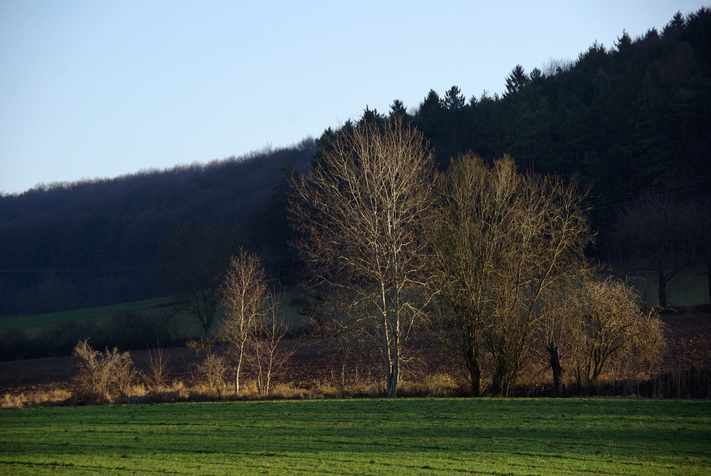 Lichtstimmung im Winter