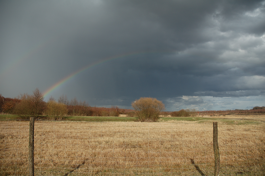 Lichtstimmung in der Wahner Heide im Anflug Runway 24