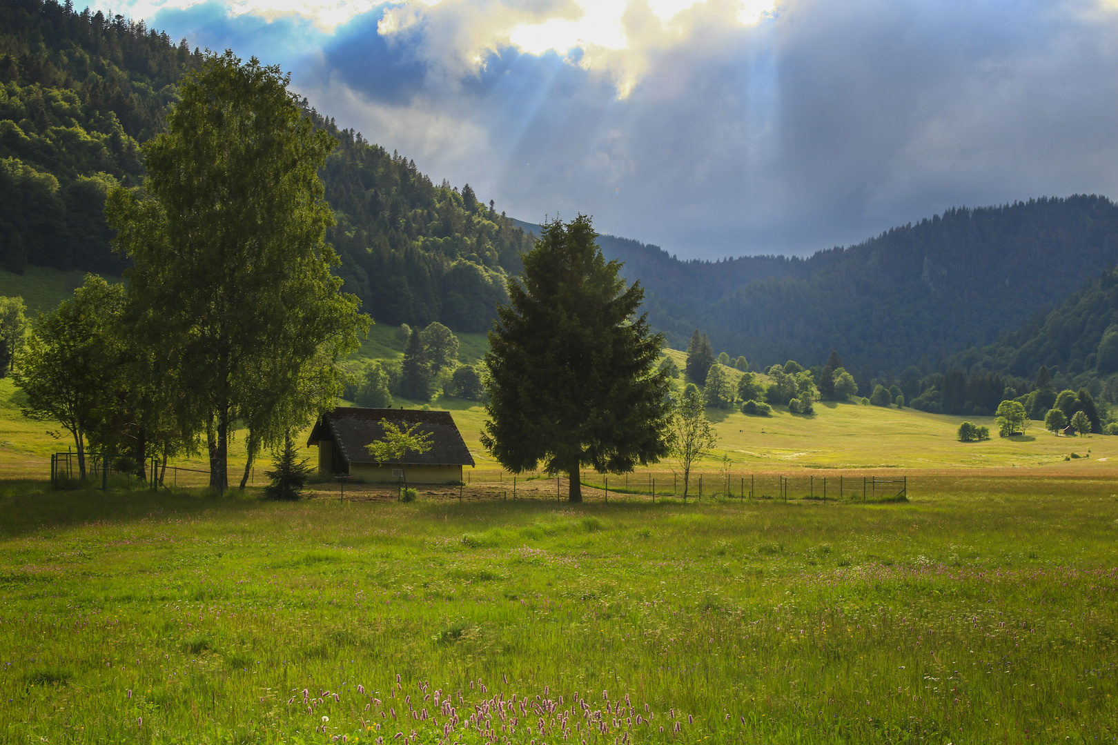 Lichtstimmung in Menzenschwand