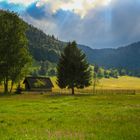 Lichtstimmung in Menzenschwand