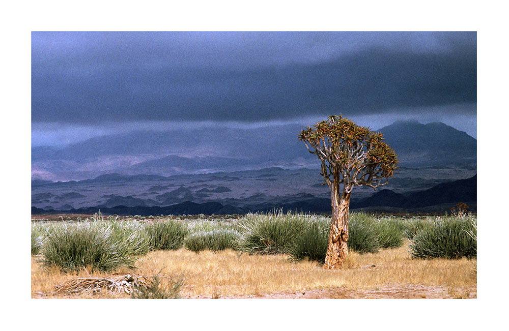 Lichtstimmung in Namibia