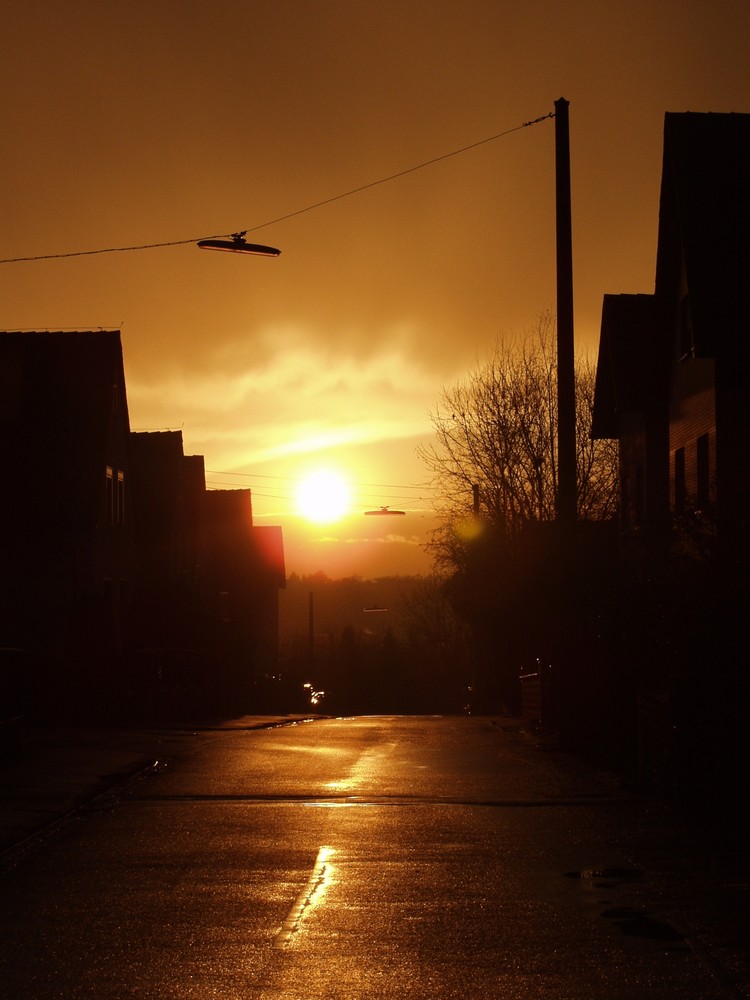 Lichtstimmung nach starkem Regen in unserer Straße