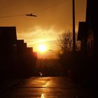 Lichtstimmung nach starkem Regen in unserer Straße