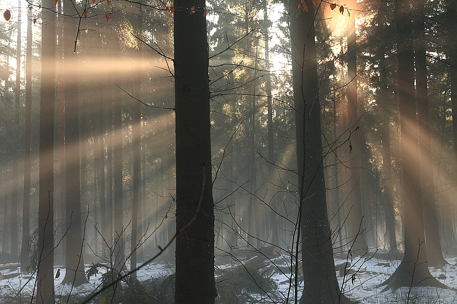 Lichtstimmung um die Mittagszeit