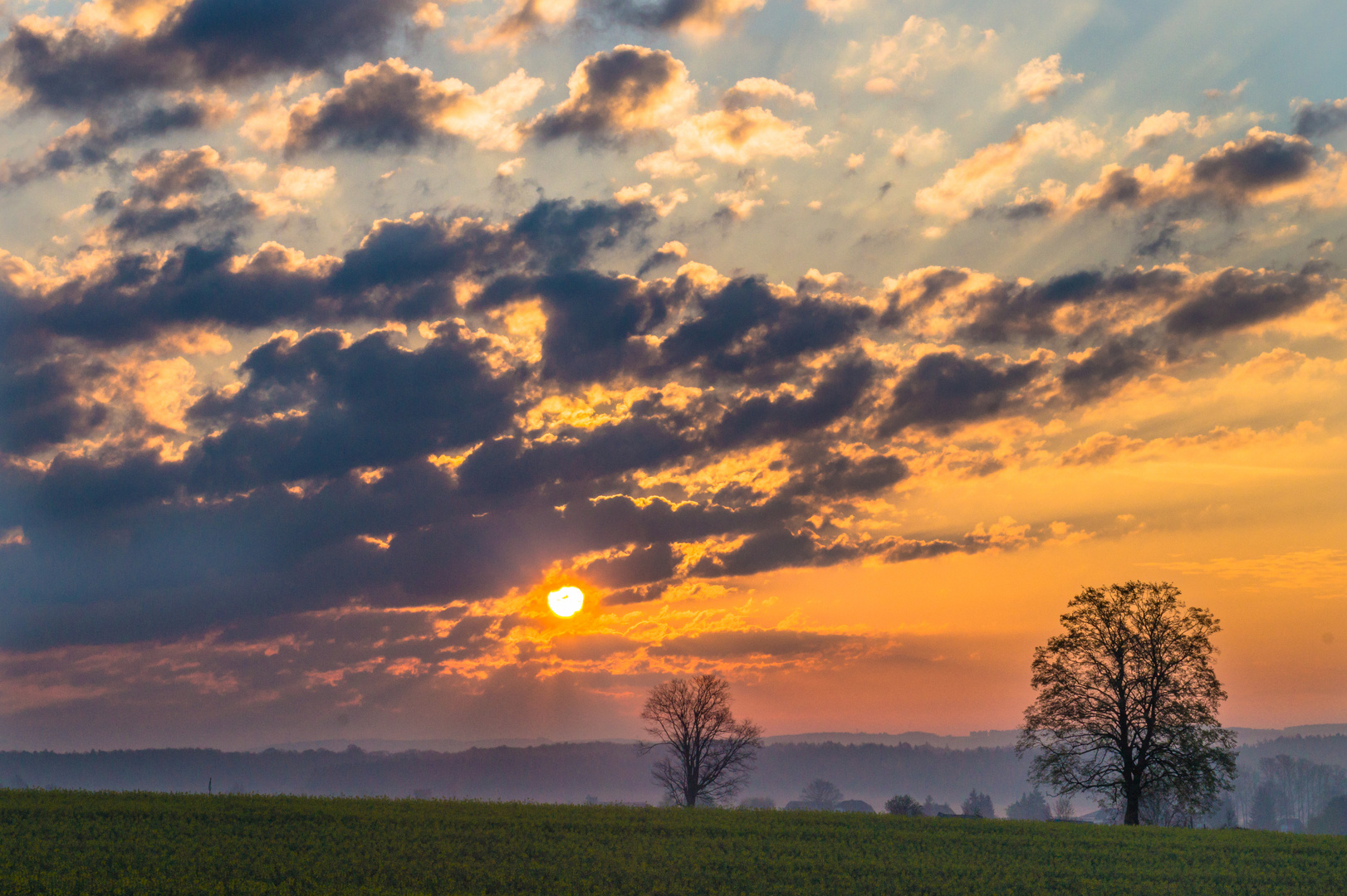 Lichtstimmung V