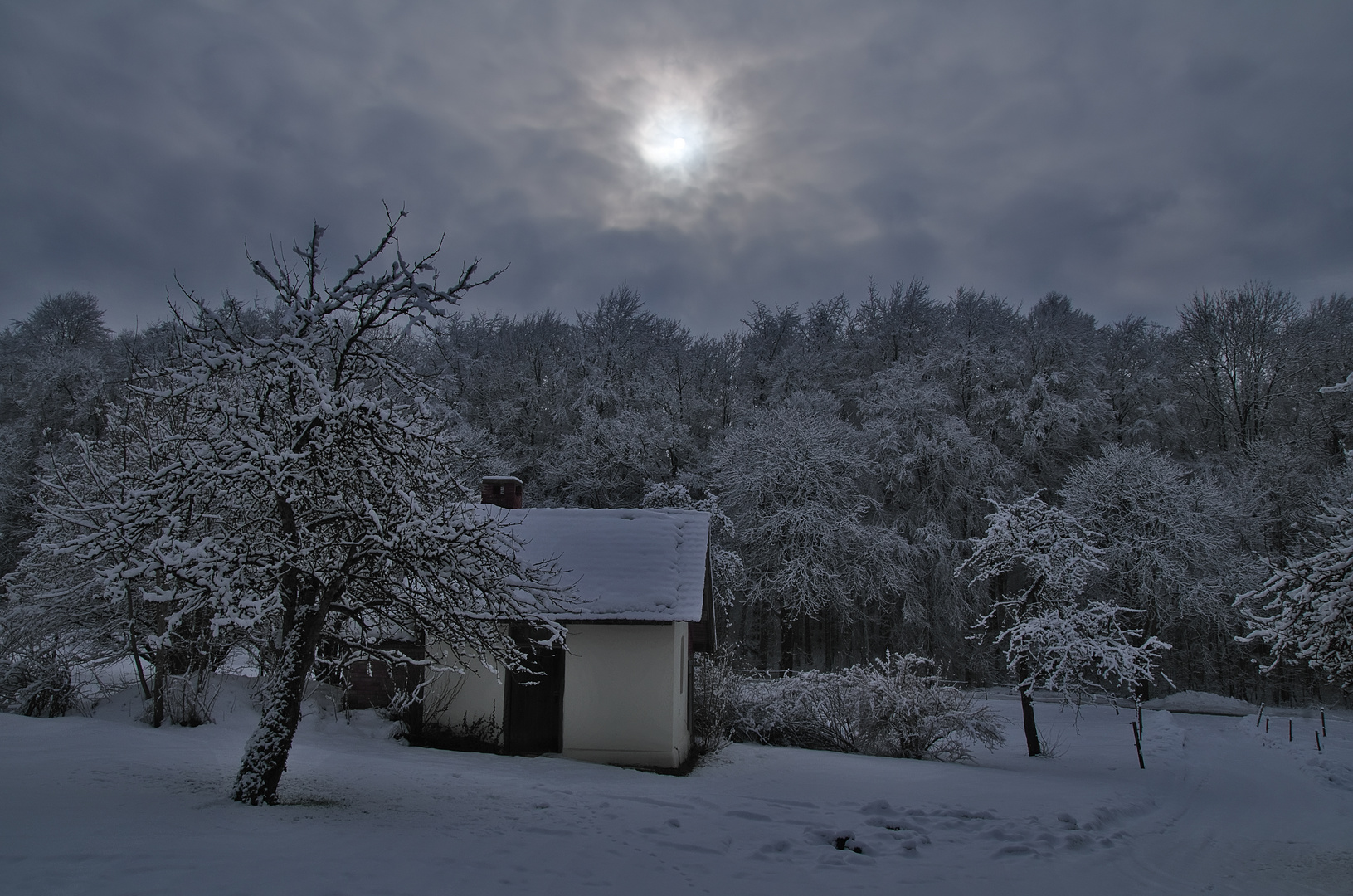 Lichtstimmung Winterlandschaft