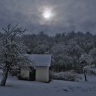 Lichtstimmung Winterlandschaft