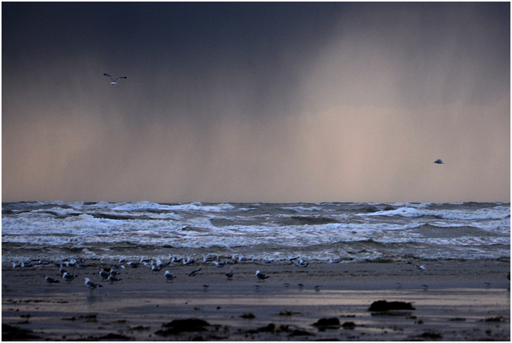 Lichtstimmungen an der Nordsee . . . (4)