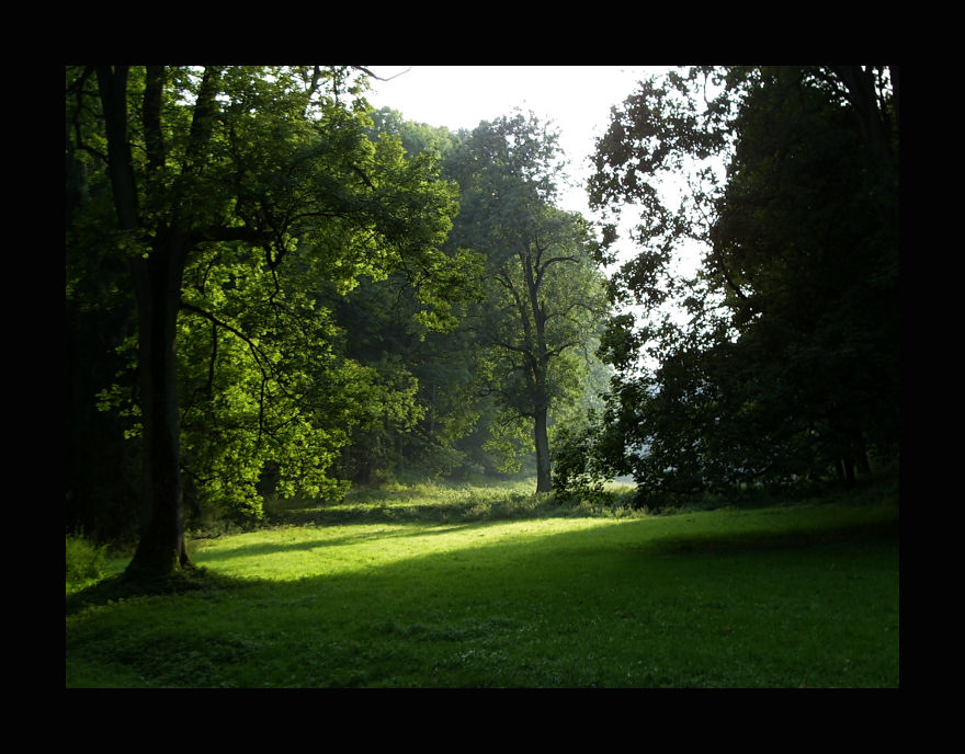 Lichtstrahl am Spätnachmittag