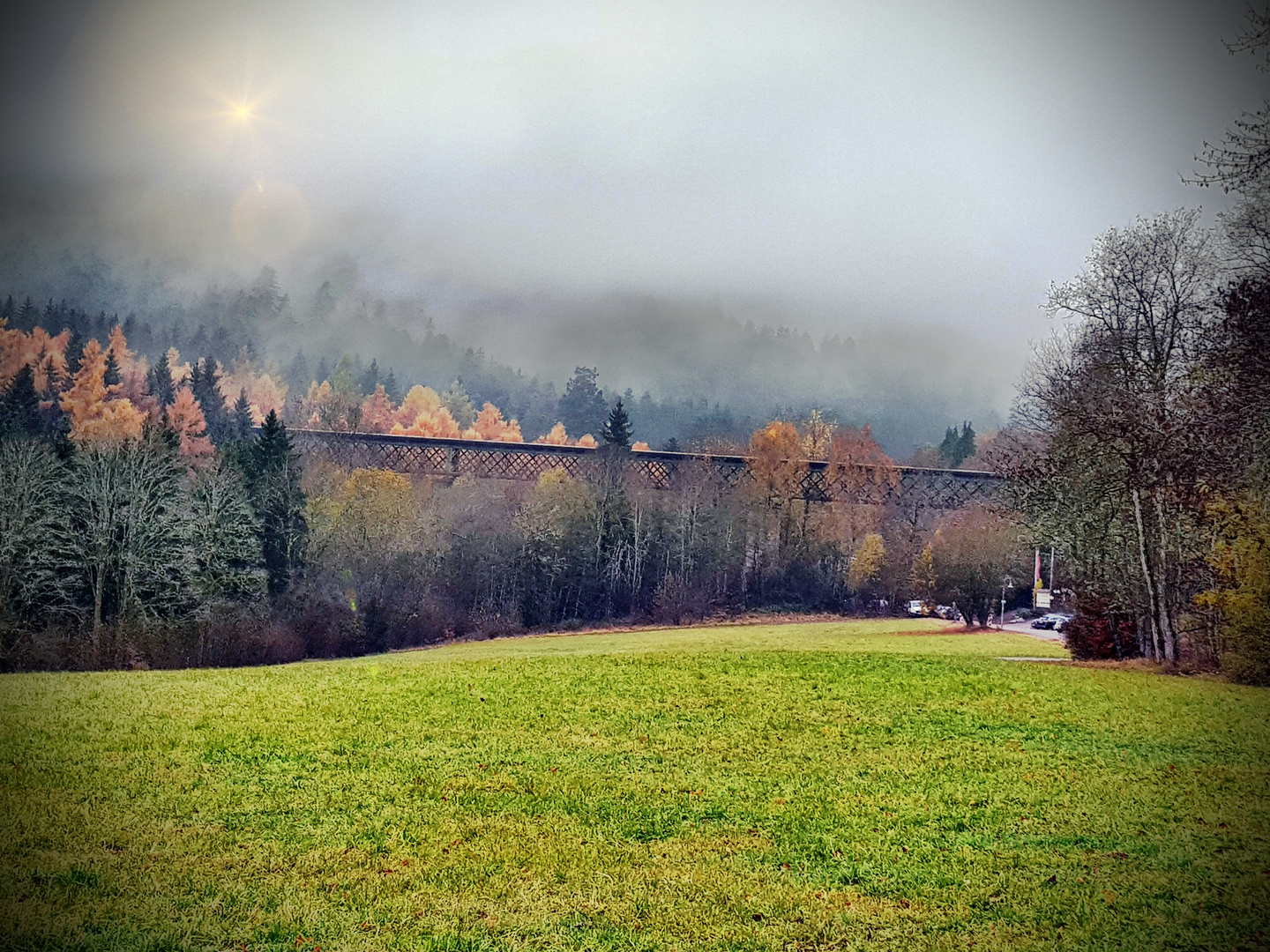 Lichtstrahl auf der Schafsweide