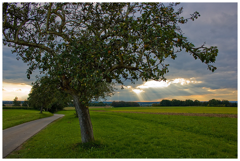 Lichtstrahlen