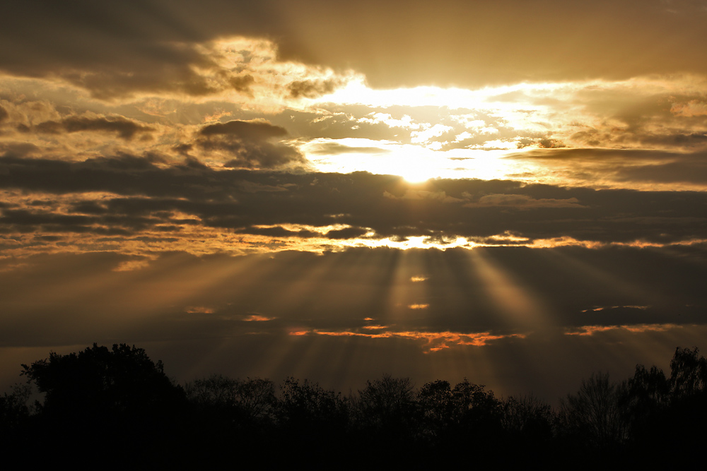 Lichtstrahlen als Morgengruß