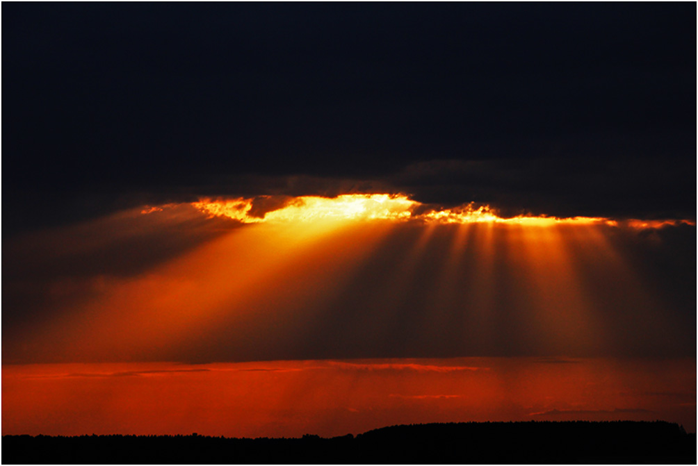 Lichtstrahlen am Federsee