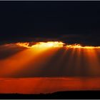 Lichtstrahlen am Federsee