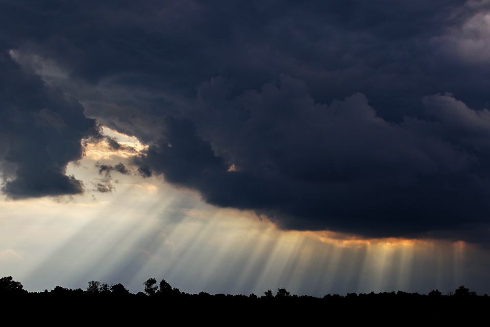 "Lichtstrahlen" am Federsee