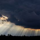 "Lichtstrahlen" am Federsee