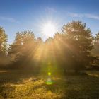 Lichtstrahlen am Morgen