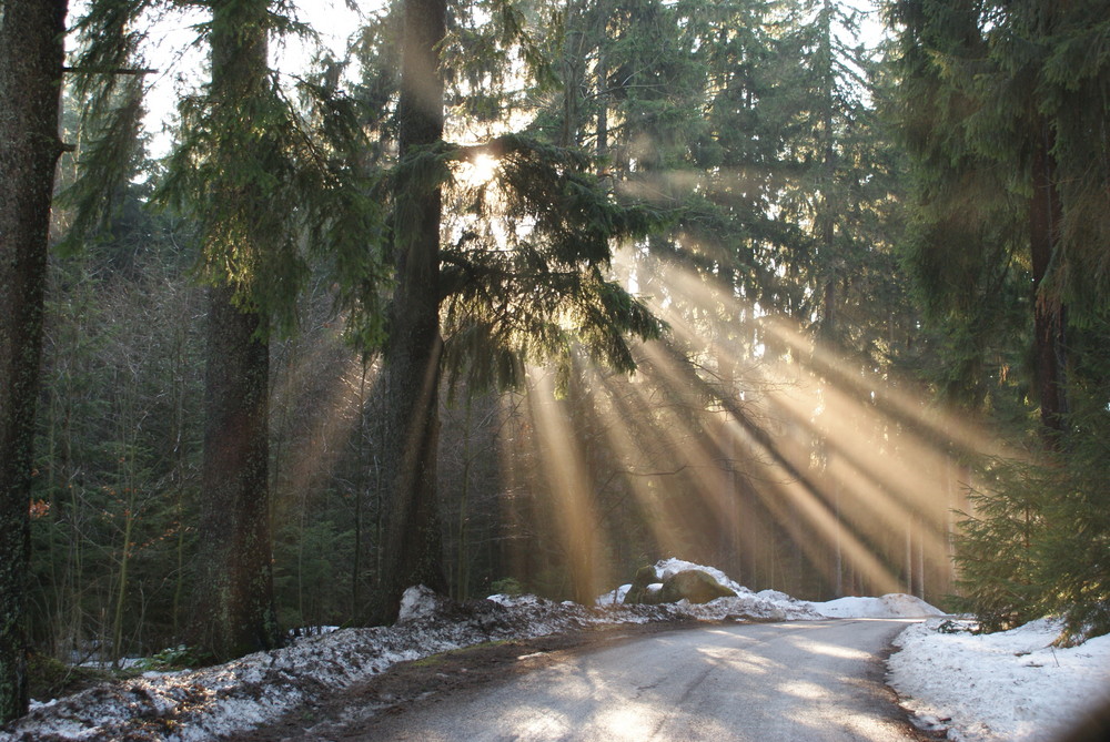 Lichtstrahlen