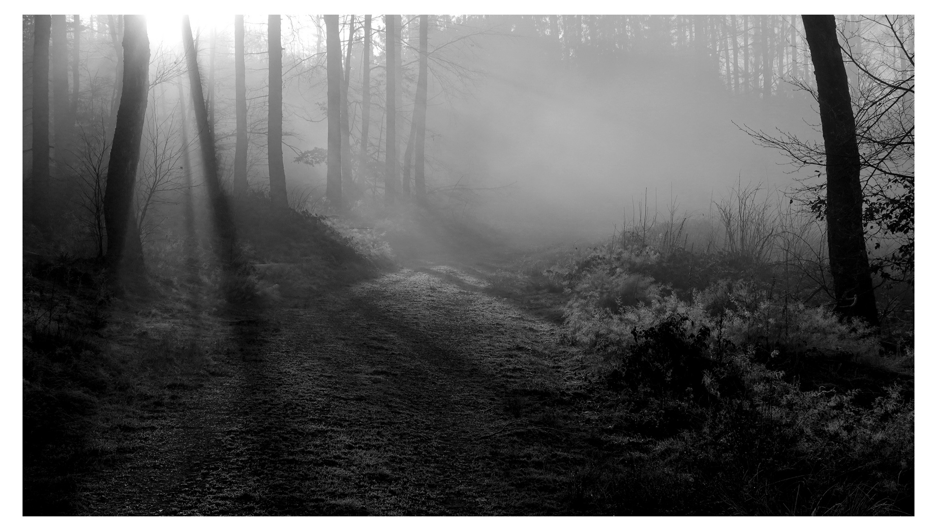 Lichtstrahlen im Dauergrau