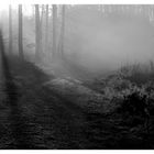 Lichtstrahlen im Dauergrau